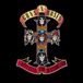 Appetite For Destruction