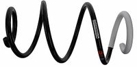 Sachs 993 918 veren.