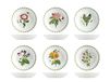 H&H Set 6 Piatti Fondi Flowers In Porcellana Decori Assortiti Cm20
