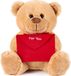 BRUBAKER Knuffelbeer met Enveloppe Rood - For You - 25 cm - Teddybeer Pluche Knuffel - Beer - Bruin Lichtbruin