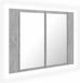 vidaXL Badkamerkast met spiegel en LED 60x12x45 cm acryl betongrijs