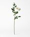HEMA Rose Artificielle 55 Cm Blanche