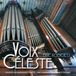 Source1 Eric Koevoets - Voix Celeste (CD)
