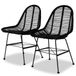 vidaXL Chaises de salle à manger en rotin - Lot de 2 - Noir