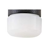 Stahlwille 79090040 10957R kunststof reservekop, 40 mm diameter, 10 stuks