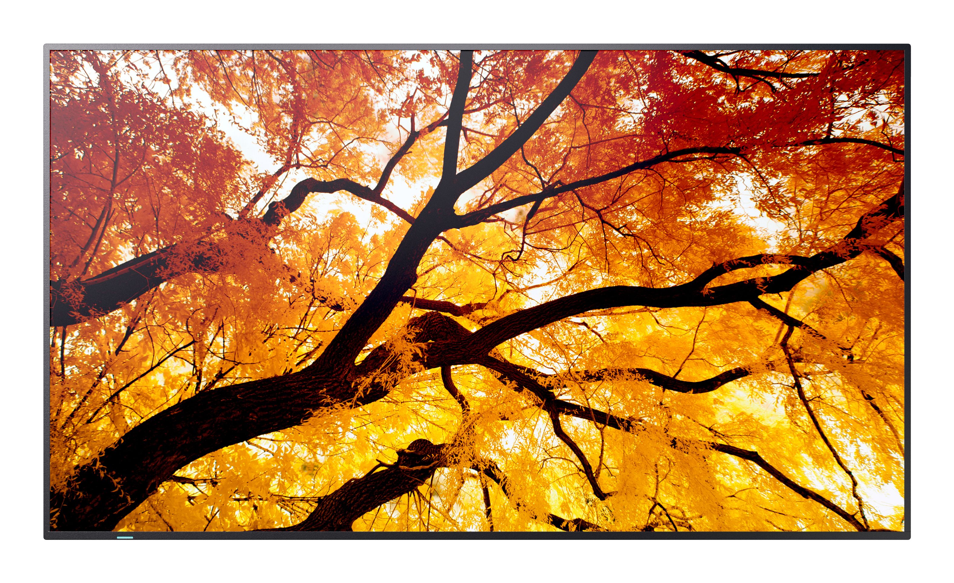 Sharp MultiSync M322 Digitale signage flatscreen 81,3 cm (32") LCD 550 cd/m² Full HD Zwart