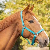QHP Gevoerd Halster Teal - Shetlander - Blauw