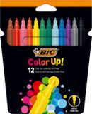 BIC Wereldkaart om te Krassen