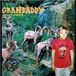 Grandaddy - Below The Radio