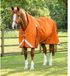 Premier Equine Buster Hardy 200 g Orange 175