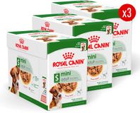 Royal Canin Mini Adult Wet - 36 x 85 g