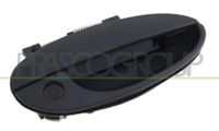 PRASCO Türgriff DW3208001 vorne rechts | Compatibel met: GM KOREA MATIZ