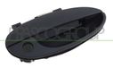 PRASCO Türgriff DW3208001 vorne rechts | Compatibel met: GM KOREA MATIZ