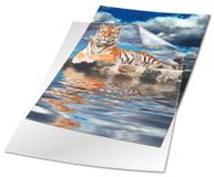 Durable 233919 L-MAP A4 STANDAARD - 150 mµ, 50 stuks, transparant