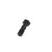 TRW/Lucas MCH961S holle schroef dubbel M10 x 1.00 mm (pour brembo)