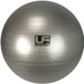 Urban Fitness 500kg Zware Weerstand Zwitserse Gymbal Zilver - 75cm