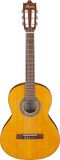 Ibanez Akoestische gitaar/GA2OAM-standaard