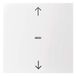 Tecla Hager Tecla Simple con flechas, para pulsadores KNX met BCU integrada, serie Berker S.x/B.x de hager, blanco polar, brillo