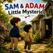 SAM & ADAM: Little Mysteries