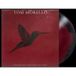 Tom Morello - Everyone Gets Everything They Want (Vinyle LP coloré)