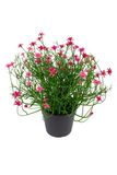 Louis Maes Sterbloem h24 cm p cerise kunstbloemen