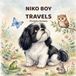 Niko Boy Travels: A curious Tale