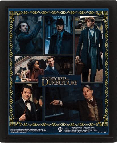 Pyramid International Fantastic Beasts The Secrets of Perkamentus 3D Poster 25cm x 20cm x 1.3cm in Box Frame - Officiële Merchandise