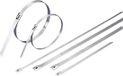 TRU COMPONENTS 1592775 TC-BCT362L203 Serre-câbles 362 mm 7.90 mm Argent 1 pièce(s)