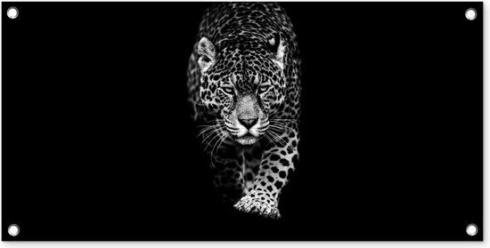 GreatGardenPosters Tuinposter Dieren - Zwart - Luipaard - 80x40 cm - Wanddecoratie Buiten