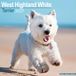 Avonside West Highland White Terrier Kalender 2027