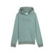 PUMA ESS LOGO LAB Hoodie TR B