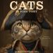 Willow Creek Press Cats in Hiss-Tory 12 X 12 Wall Calendar