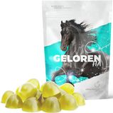 Geloren HA - Supplement Voer - Voor Paarden - Hoge Dosis Hyaluronzuur - 60 Stuks