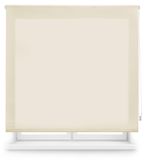 Rouleau transparent, 155x175 cm, couleur beige, montage facile
