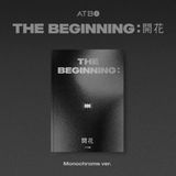 Bertus Distributie Atbo - Beginning : Blooming (CD)