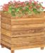 vidaXL - Plantenbak - verhoogd - 50x40x55 cm - gerecycled teakhout en staal
