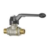 RIEGLER 3351.88 Kogelkraan met handhendel, buiten-/buitendraad, R 1-1/2 inch schroefdraad