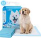 Nobleza Puppy Training Pads - 90x60 cm - 10 stuks