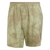 adidas Terrex Multi Spray Dye Clima365 Shorts