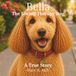 Bella The Loving Therapy Dog: A True Story