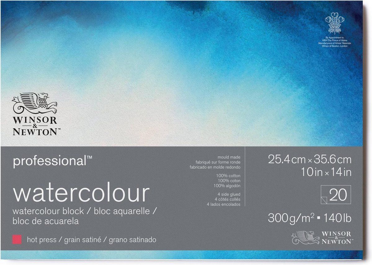 Winsor & Newton Professional Aquarelpapier - Grain satiné - Blok 20 vel - 25,4x35,6cm - 300gr - wit