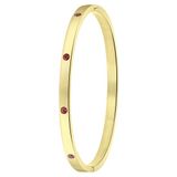 Lucardi Dames Goldplated armband bangle geboortestenen - Staal - Armband - Cadeau - Stijlvol - Goudkleurig