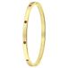Lucardi Dames Goldplated armband bangle geboortestenen - Staal - Armband - Cadeau - Stijlvol - Goudkleurig