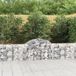 Maison Exclusive - Gabions avec arc haut 6 pcs. 200x30x60/80 cm fer galvanisé