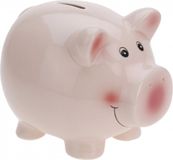 Free & Easy Spaarvarken - roze - dolomiet - 11 x 9 cm