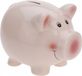 Free & Easy Spaarvarken - roze - dolomiet - 11 x 9 cm