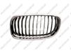 PRASCO Kühlergitter BM0262014 links | Compatibel met: BMW 3, 3 Touring