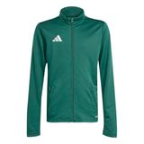adidas Entrada26 Track Kids Sweatshirt, team dark green/white, 15-16 Years
