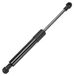 Ressort à gaz 250 mm - Noir, en acier au carbone - 34 lb / 150 N