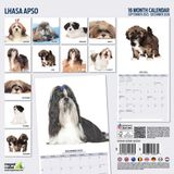 Magnet & Steel Lhasa Apso Moderne Kalender 2026 Wandkalender